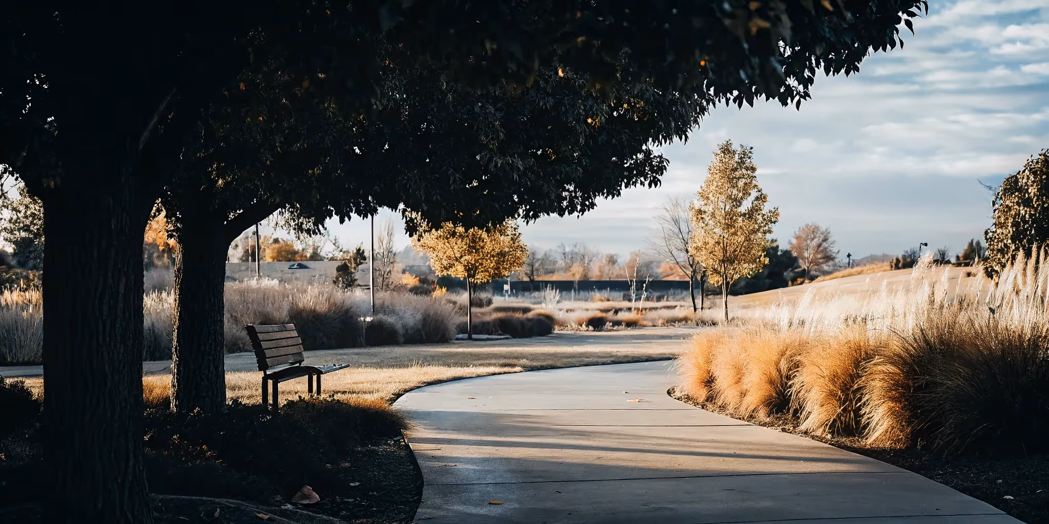 Guide to Autism Resources in Thornton, Colorado