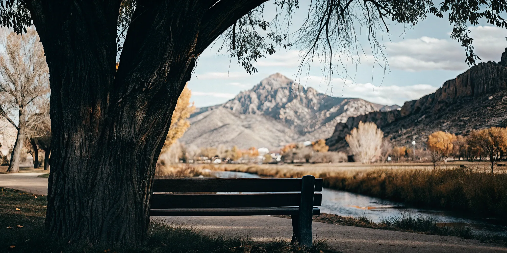 Your Guide to Autism Resources in Longmont, Colorado