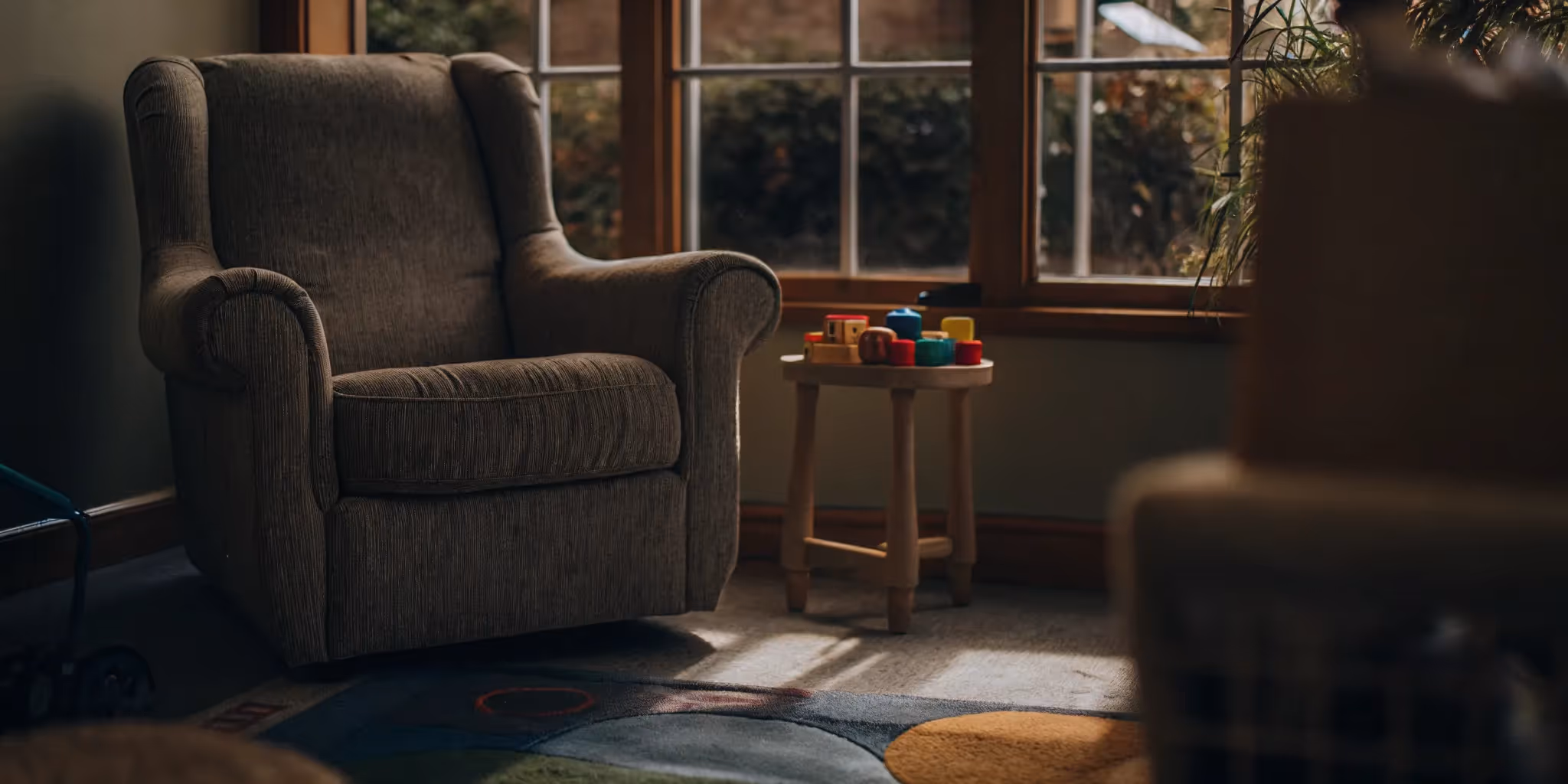 Explore the Center for Social Success for Child Development