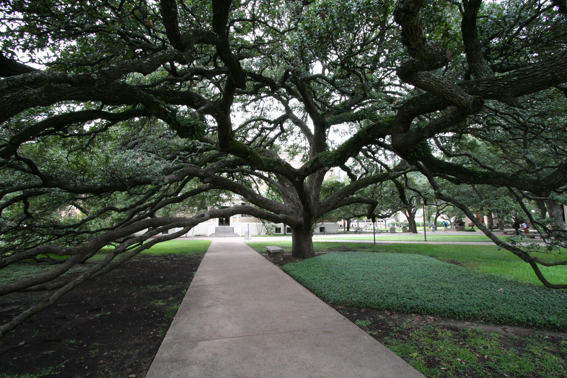 College Station