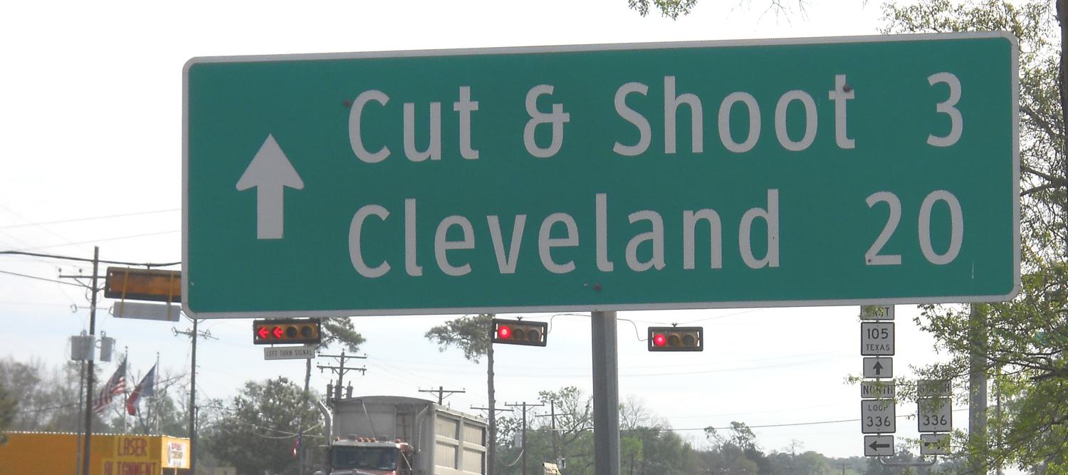 Landmark image