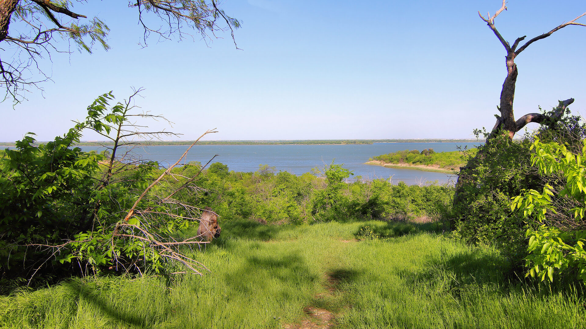 Cedar Hill