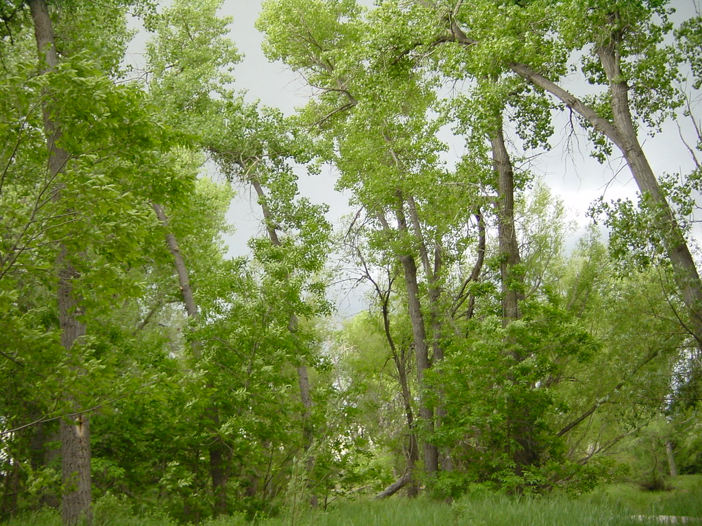Landmark image