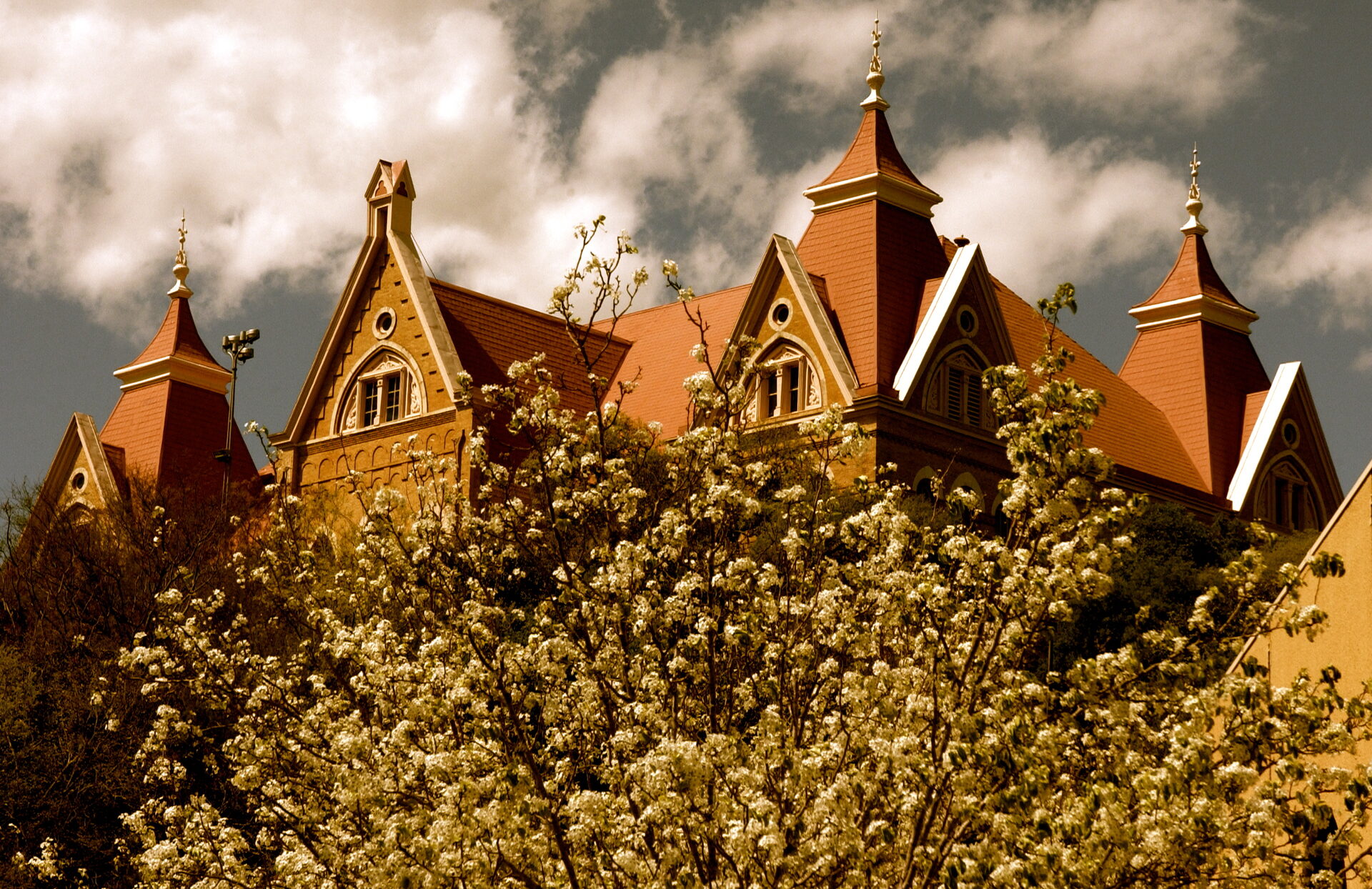 Landmark image