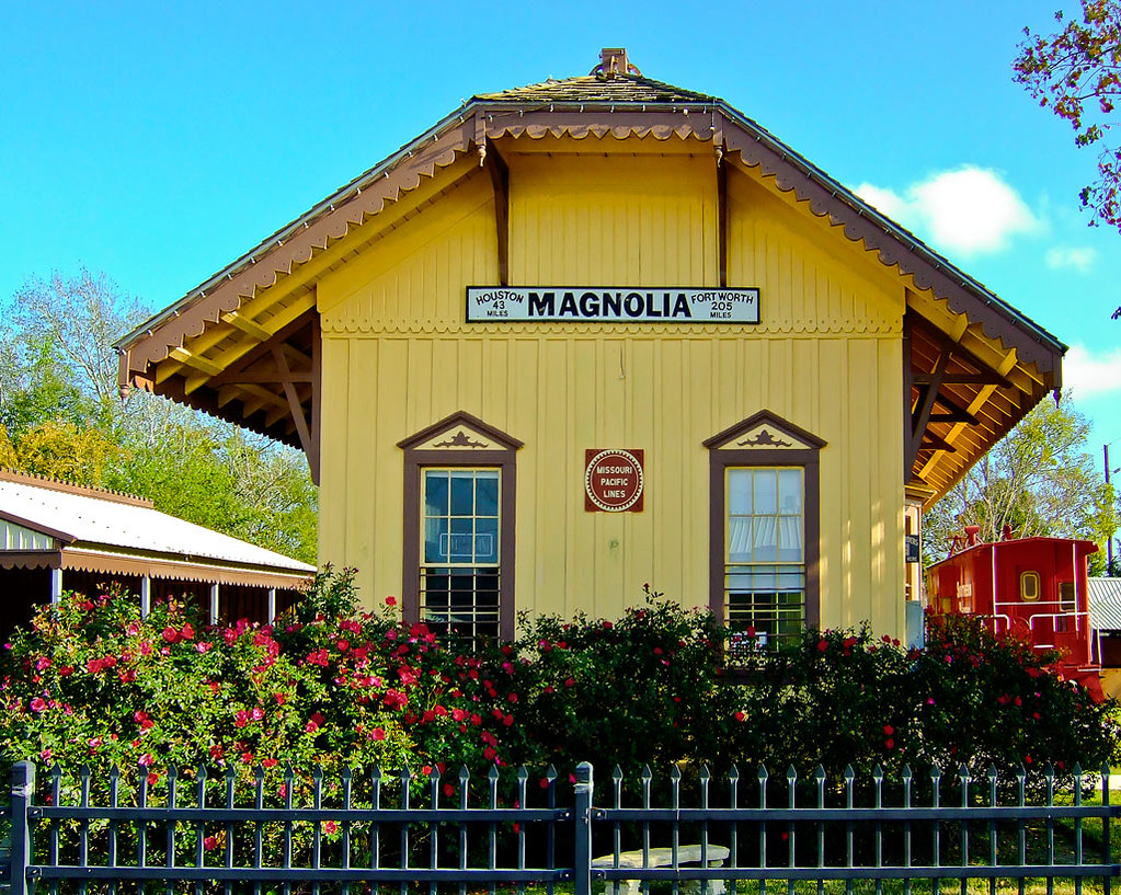 Magnolia
