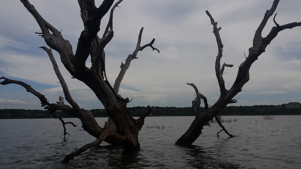 Morgan's Point Resort