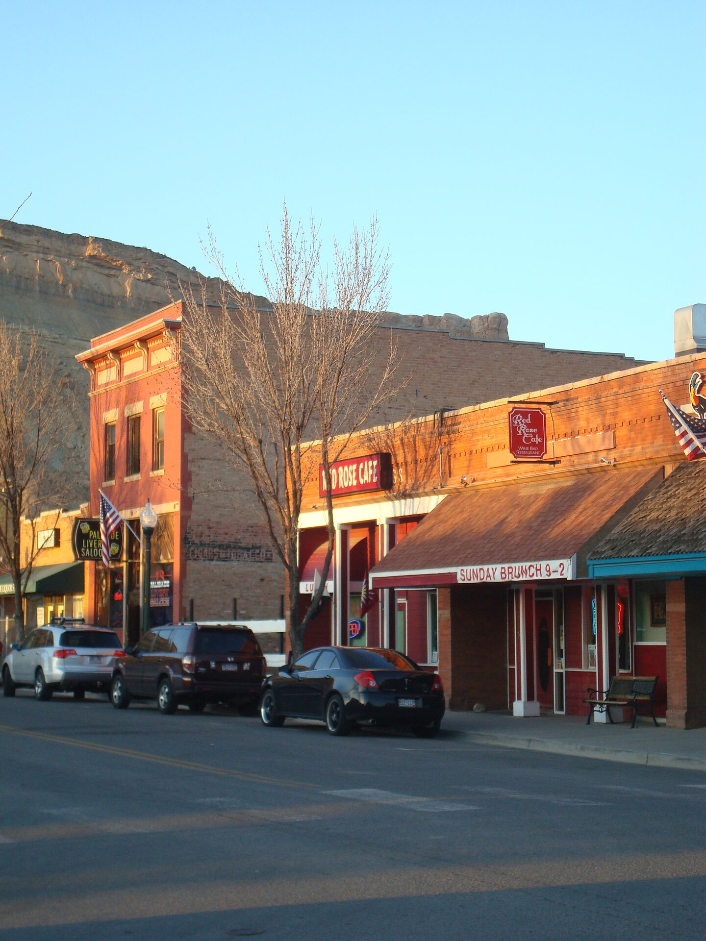 Palisade
