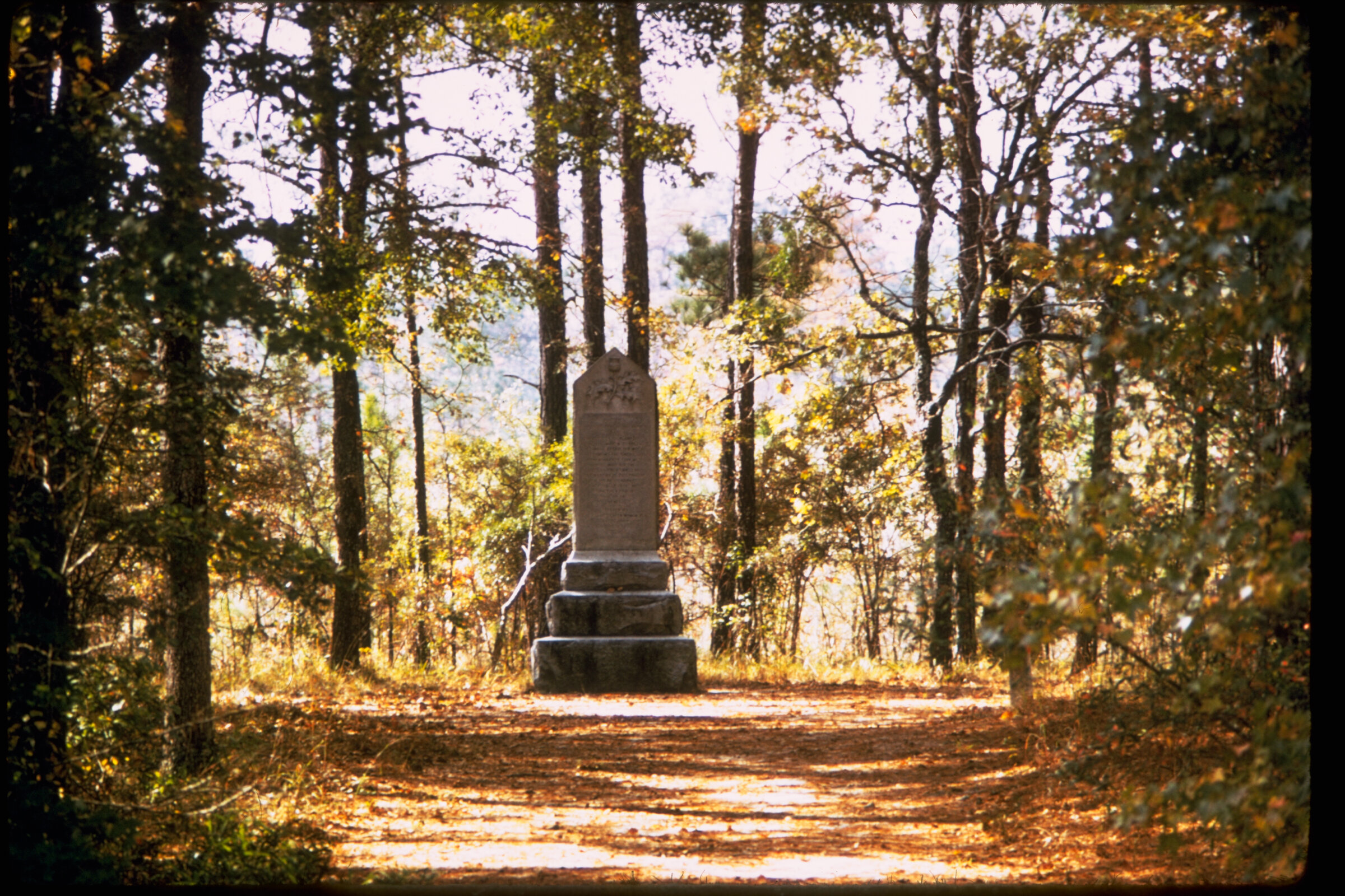 Landmark image