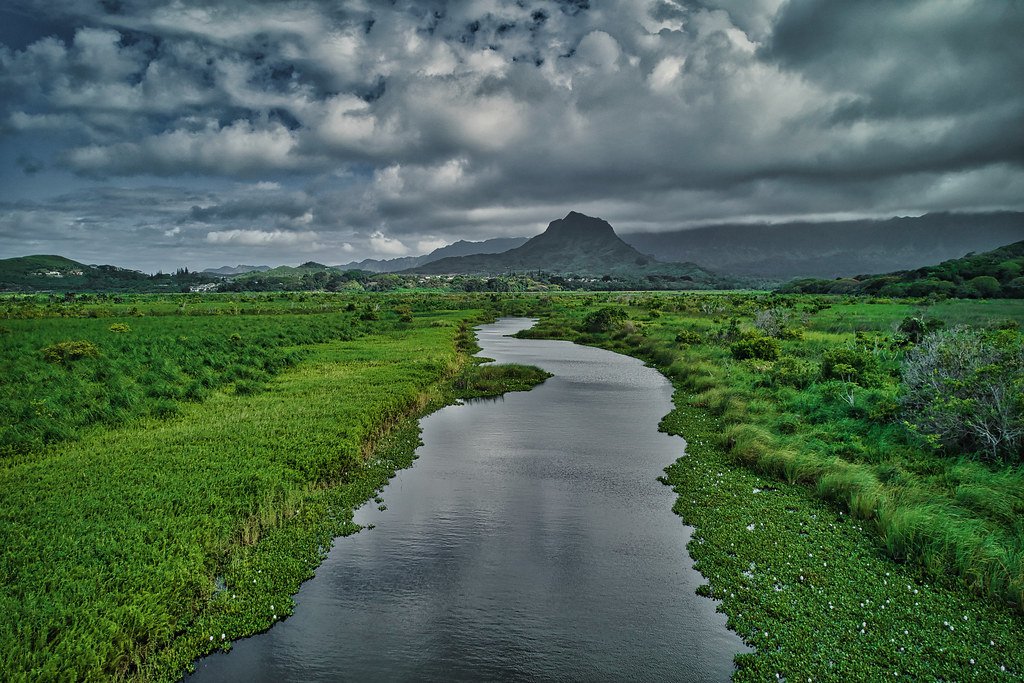Landmark image