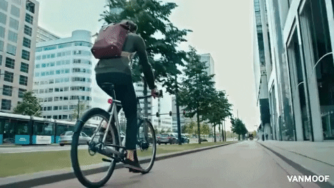 Student travelling by riding a bike