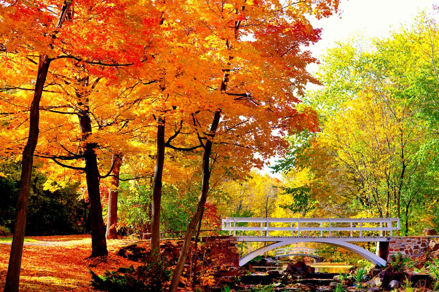 October’s Glow: Parks to Go in Montreal