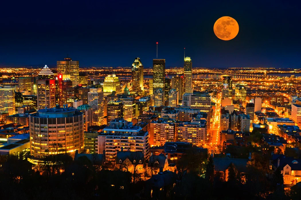 November in Montreal: Top Events and Festivals to Check Out