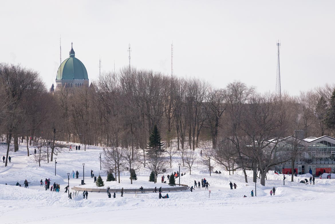 Montreal Winter Activities: A Guide to Mount Royal Park in Winter