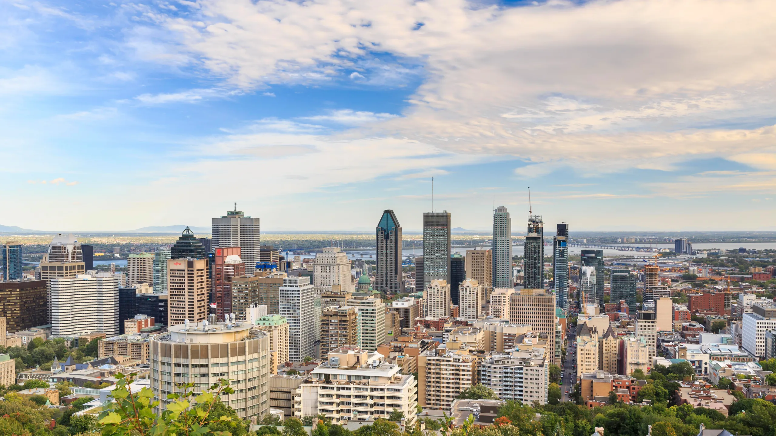 Exploring Mount Royal: The Ultimate Student Guide to Hiking & Relaxation
