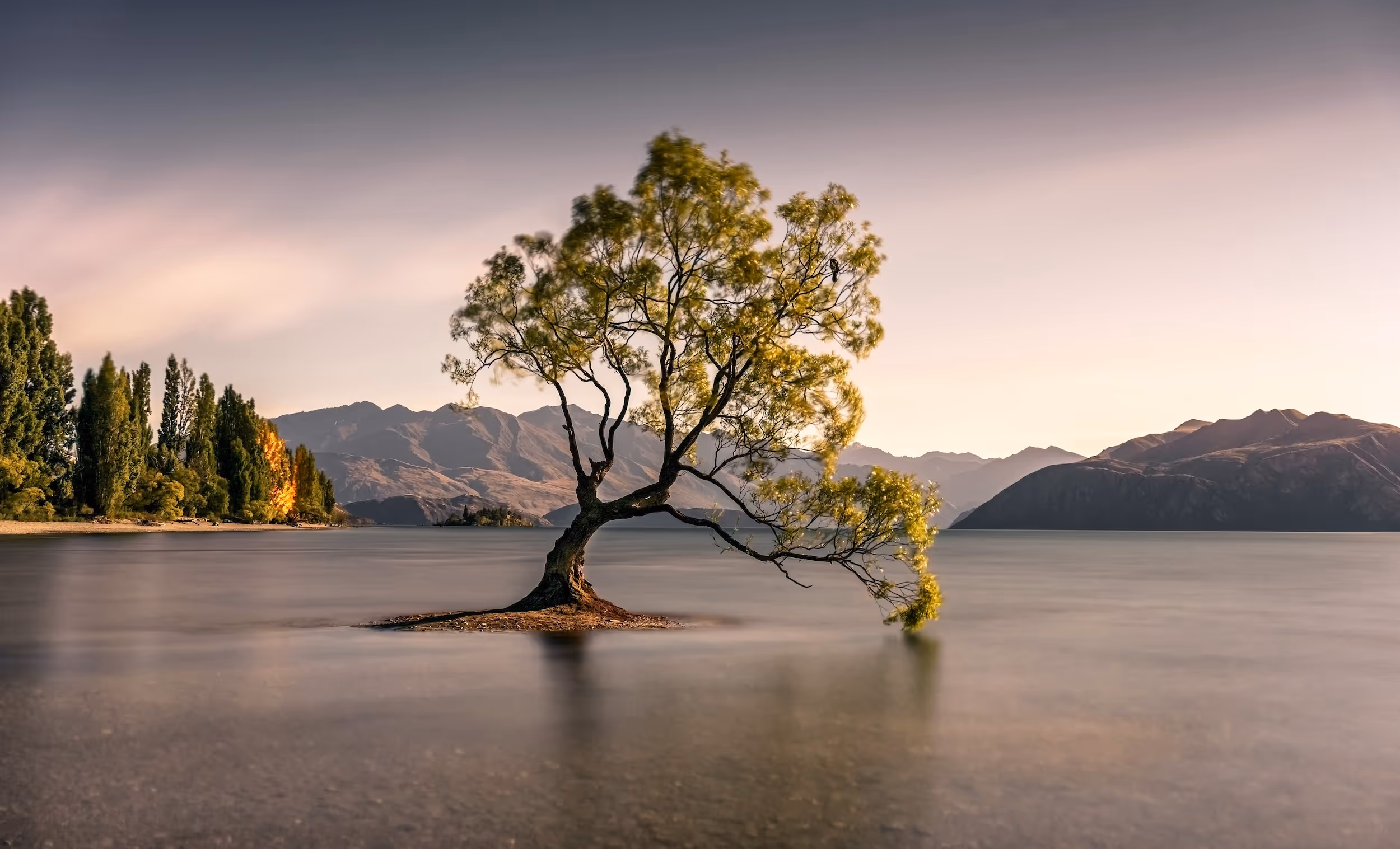 DIE MAGIE DES LICHTS