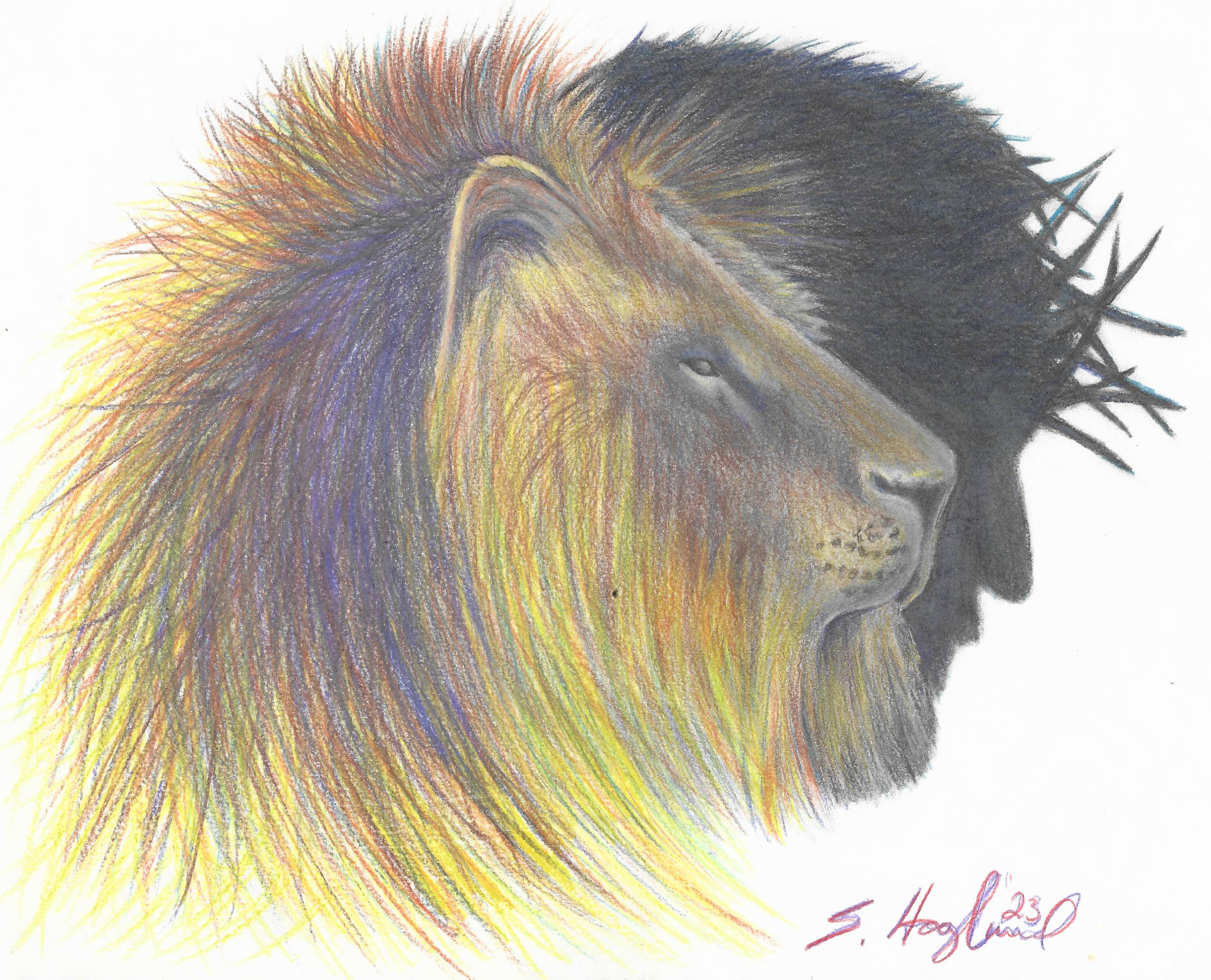 a lion in profile with a profile of jesus with the thorn crown on his head in shadow... lion of judah by scott hoglund