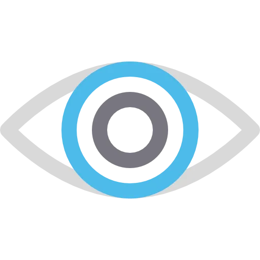 Simplified eye icon with a gray outer shape and concentric blue and gray circles in the center.