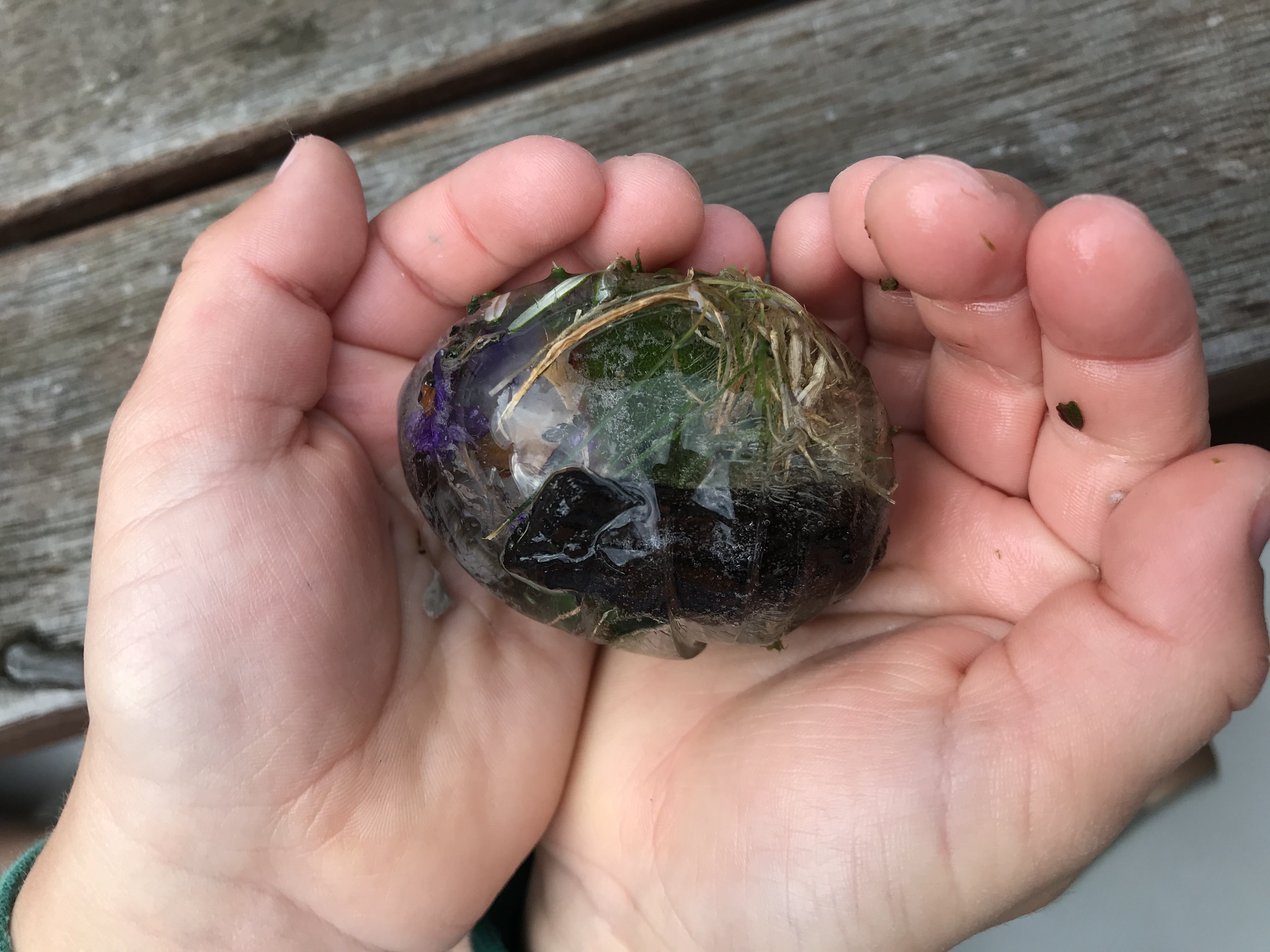 Holiday craft - Icy Eggs