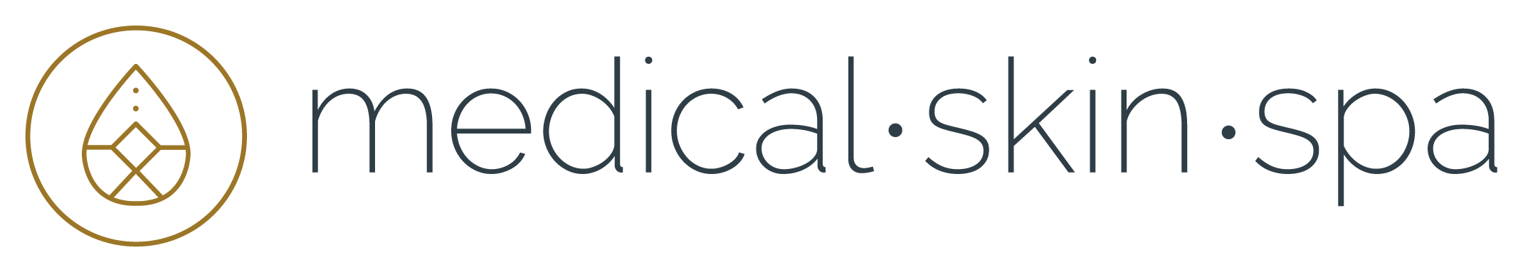 Logo Medical Skin Spa