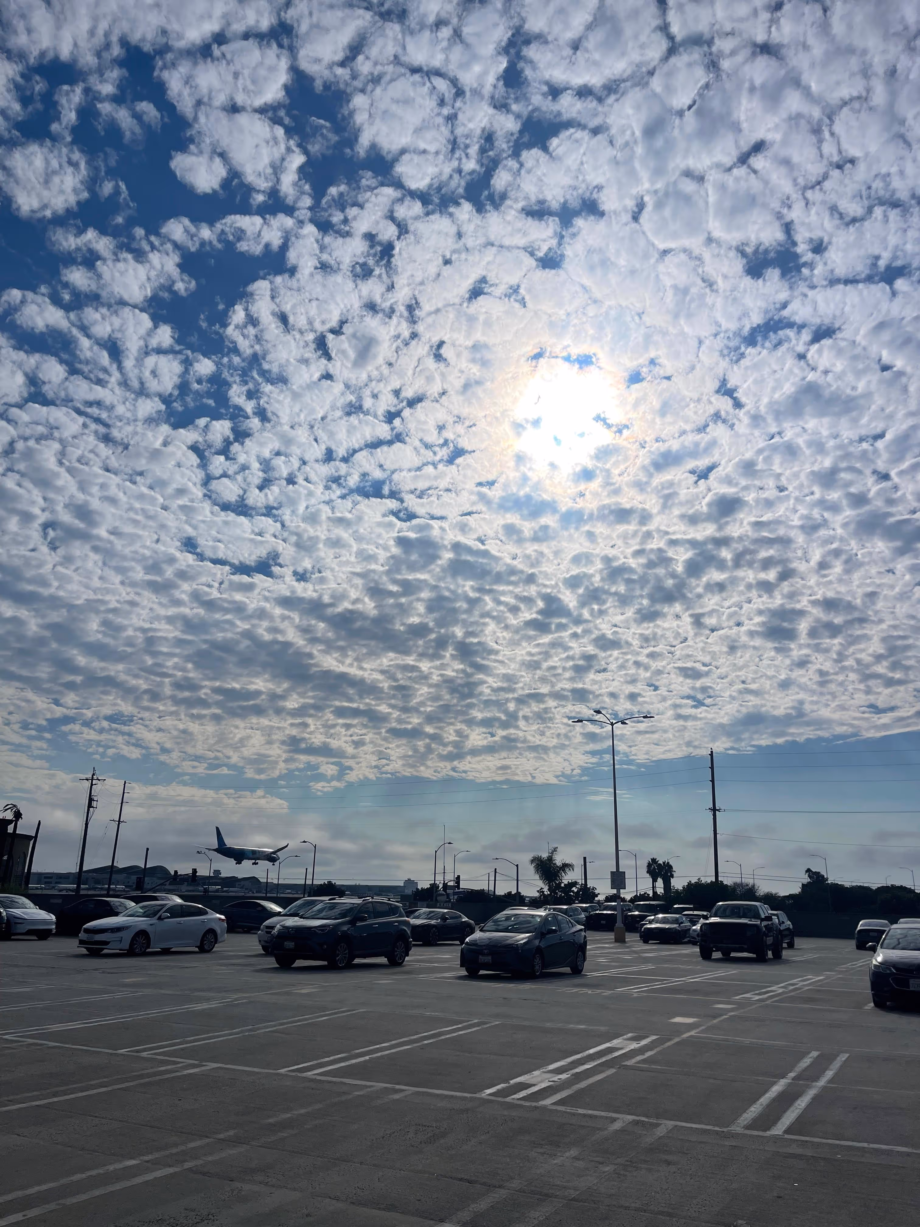 this our parking lot located at near lax international airport