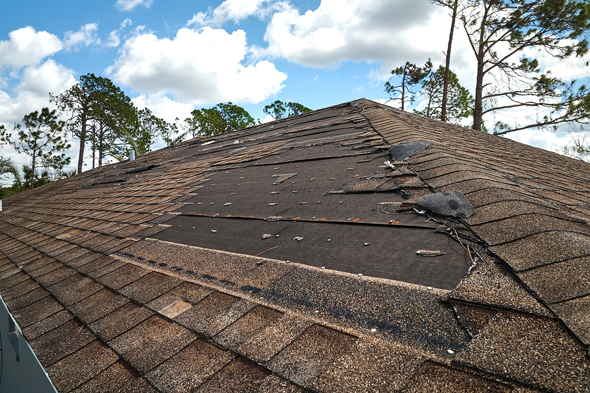 Wind-damaged roof tiles on a home in Bayside that Outright Plumbing was called to work on.