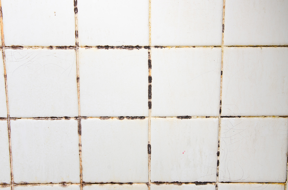 Mould growing along the grouting of white square bathroom tiles, indicating a leak. Outright Plumbing can help detect and eliminate hidden leaks.