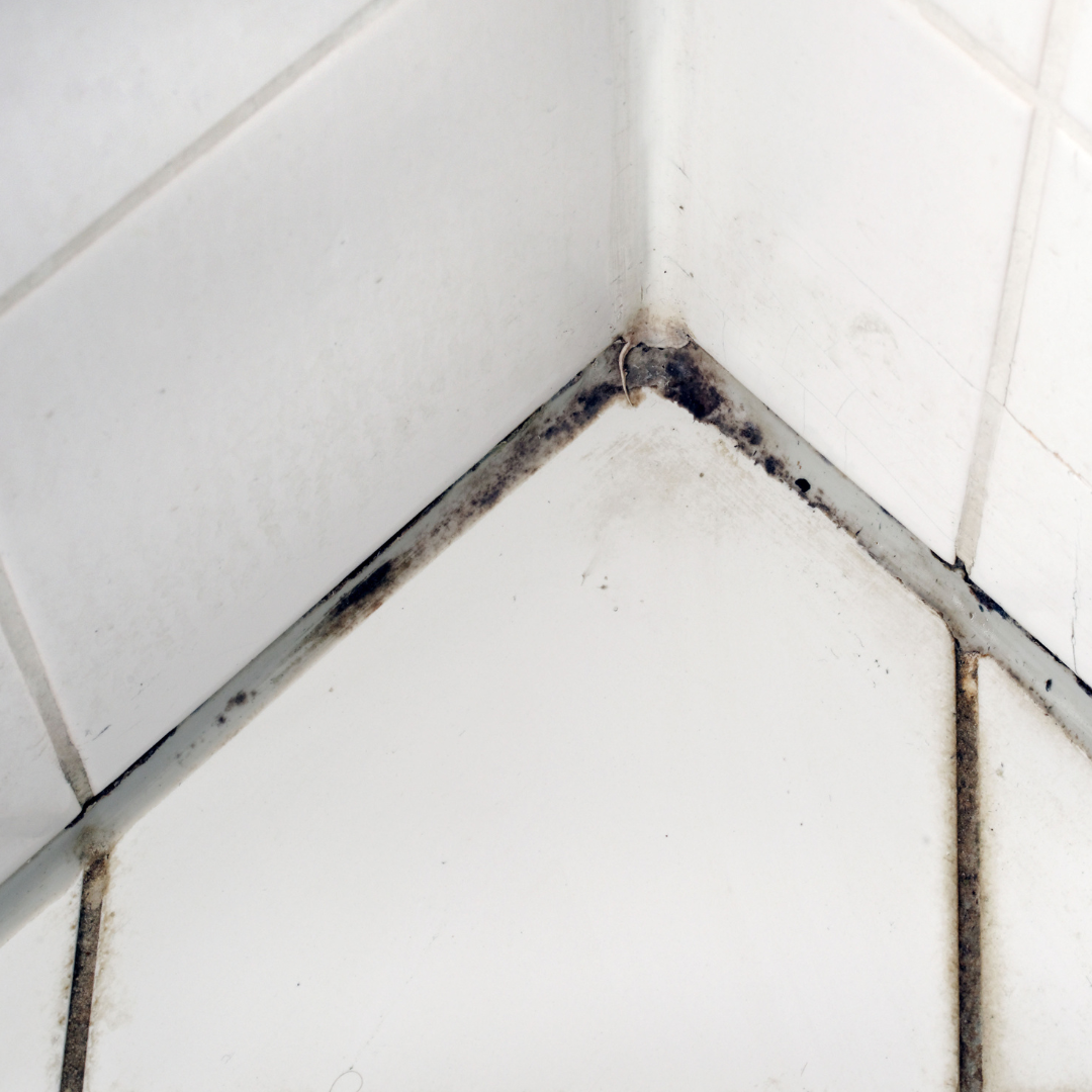 Mould on bathroom tiles & silicone