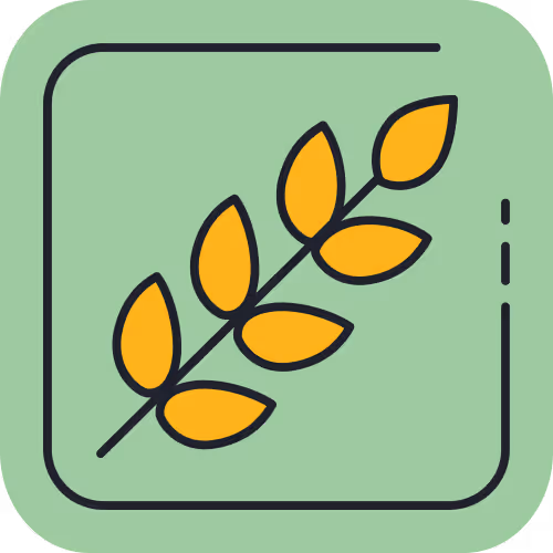 An illustration of a wheat spring on a green background.