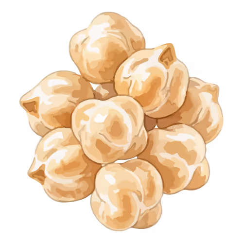 An illustration of chick peas, close-up.