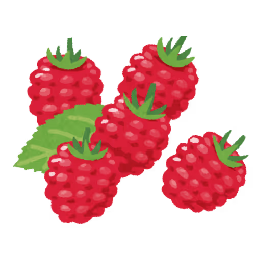 An illustration of 5 raspberries.