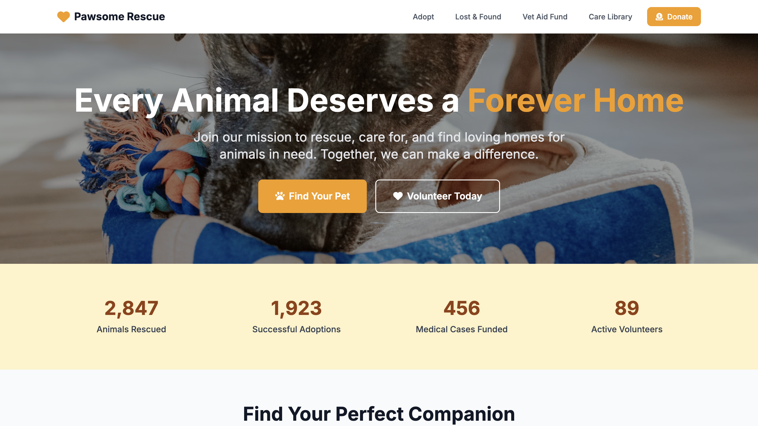 Charity Website Builder 