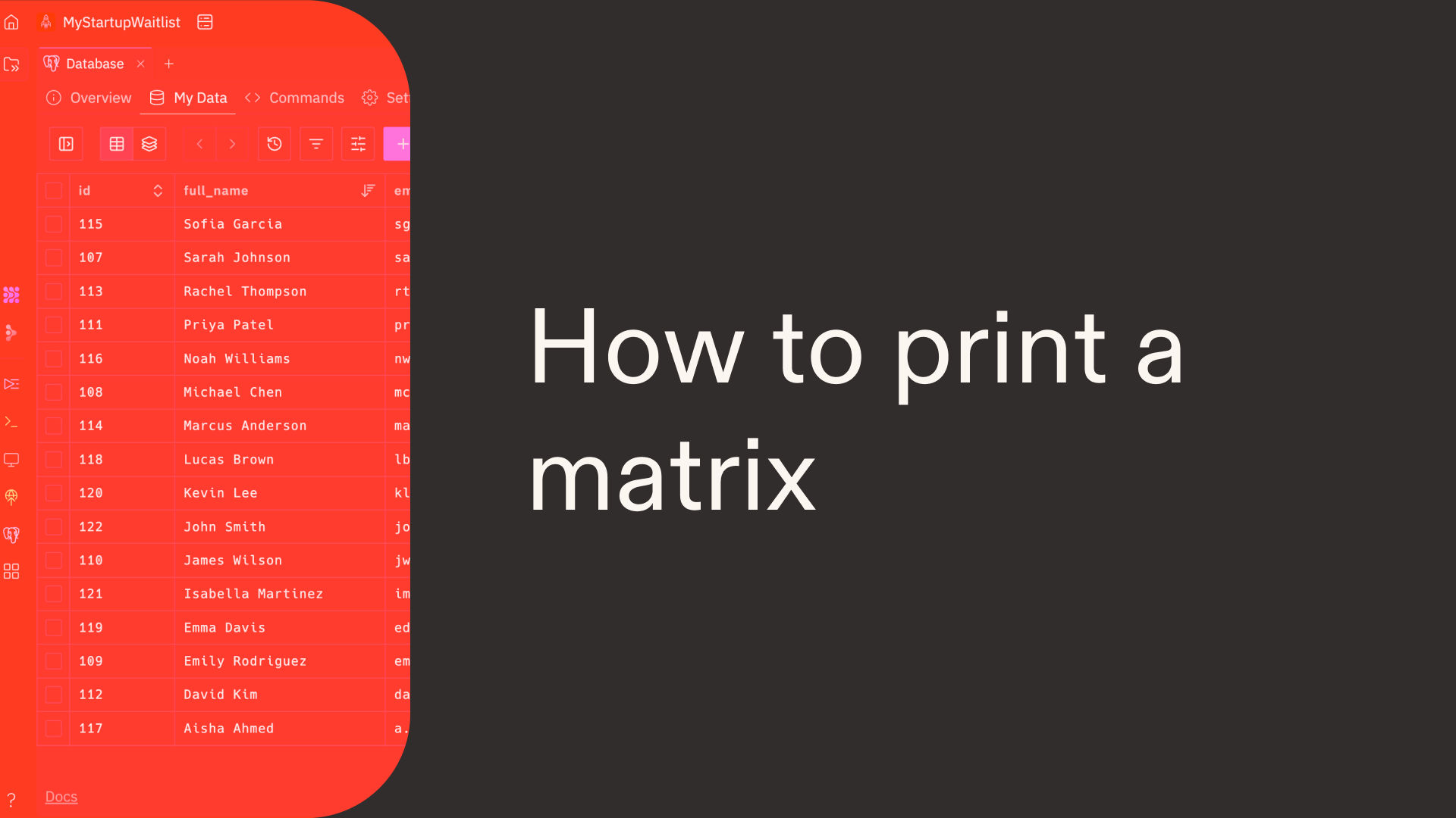How to print a matrix in Python