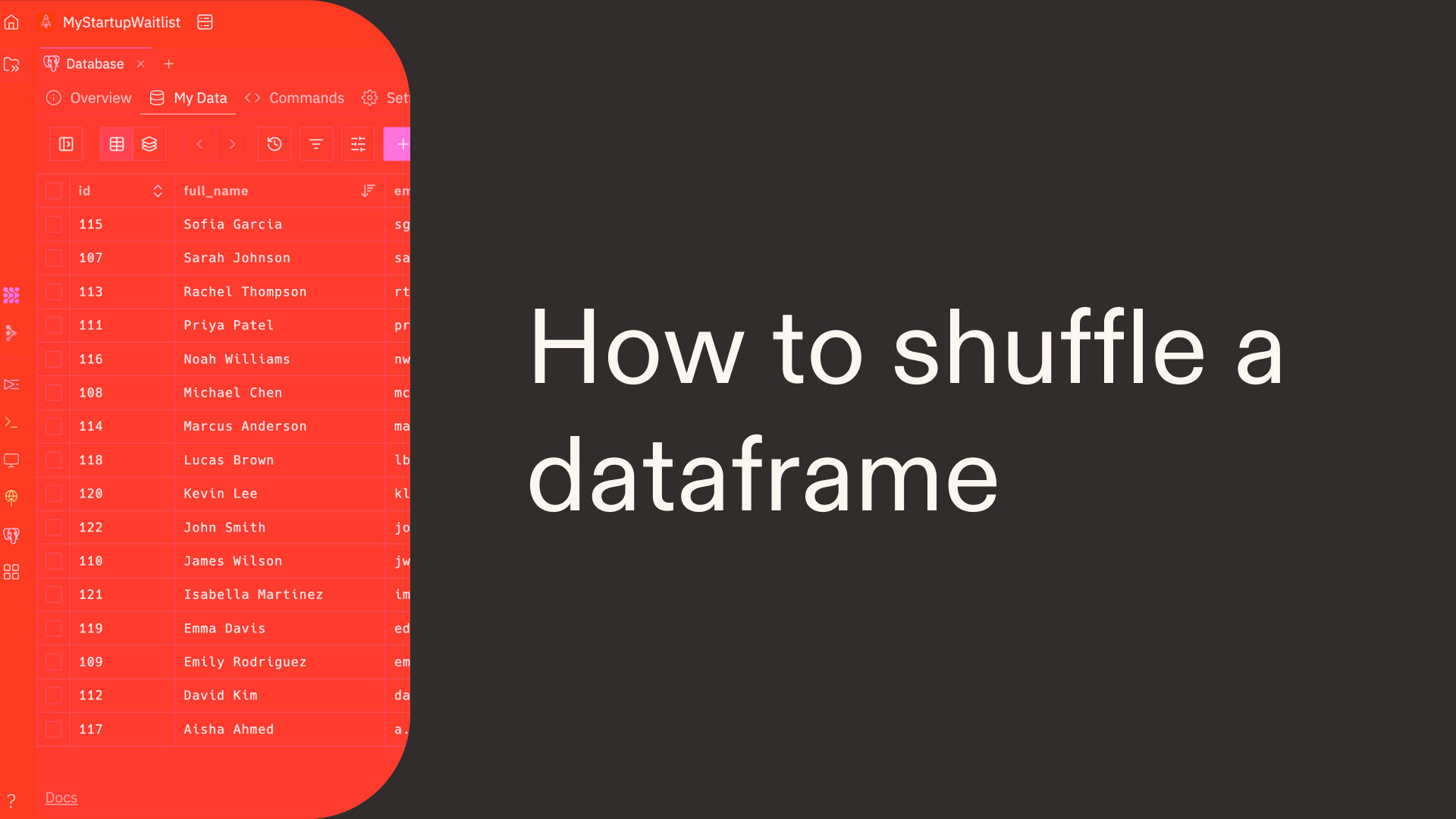 How to shuffle a dataframe in Python