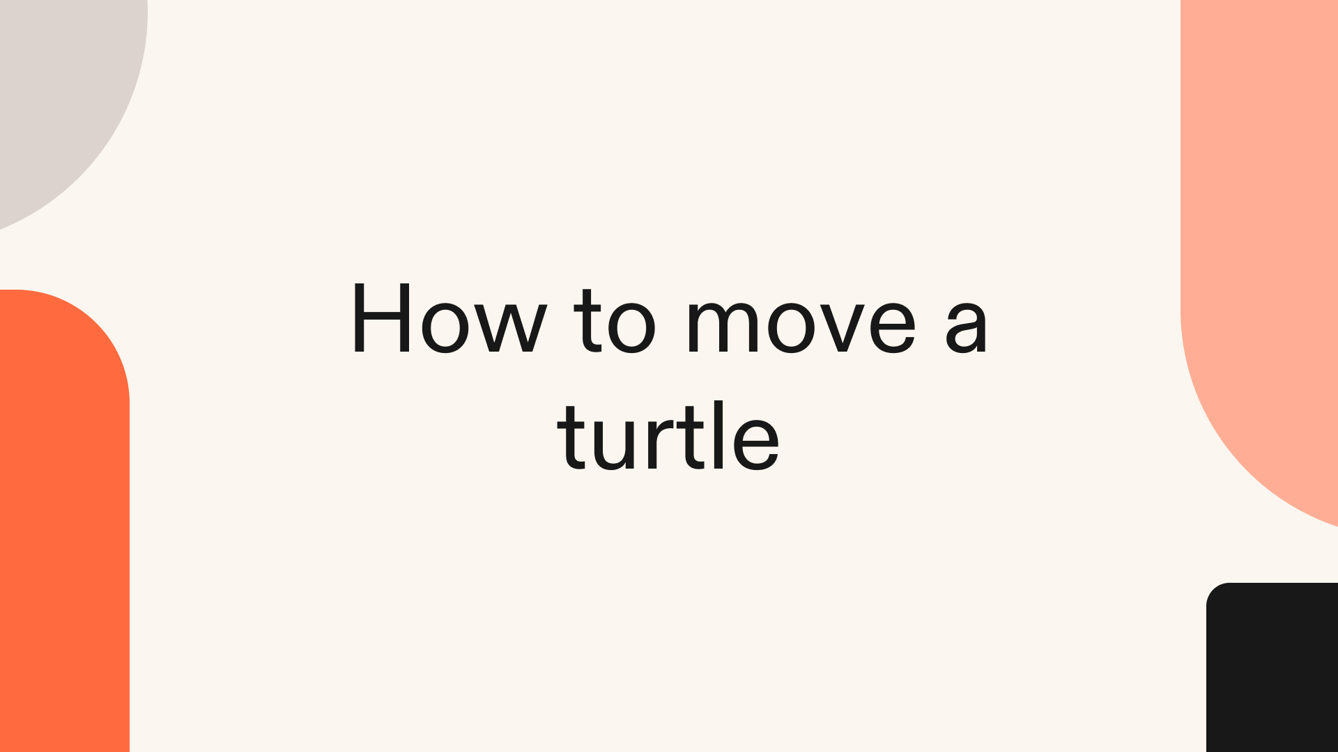 How to move a turtle in Python
