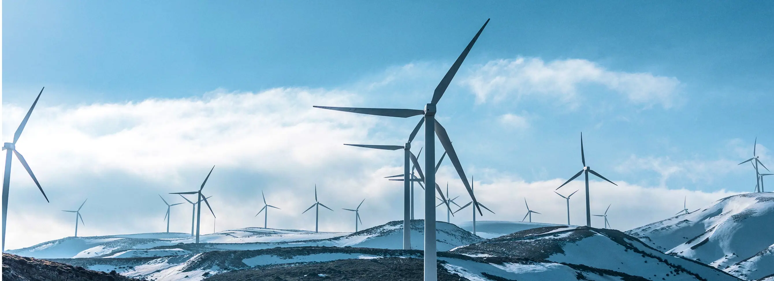 Wind electricity.