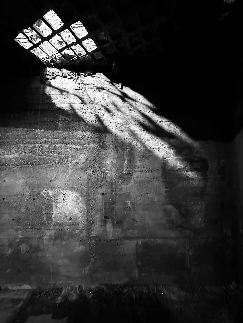 Miquel Merce Arquitectes