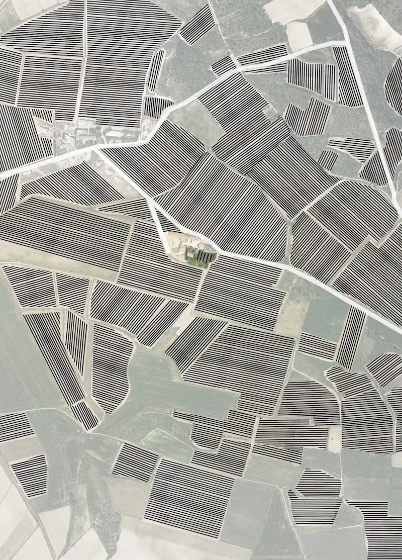 Metodologia arquitectura