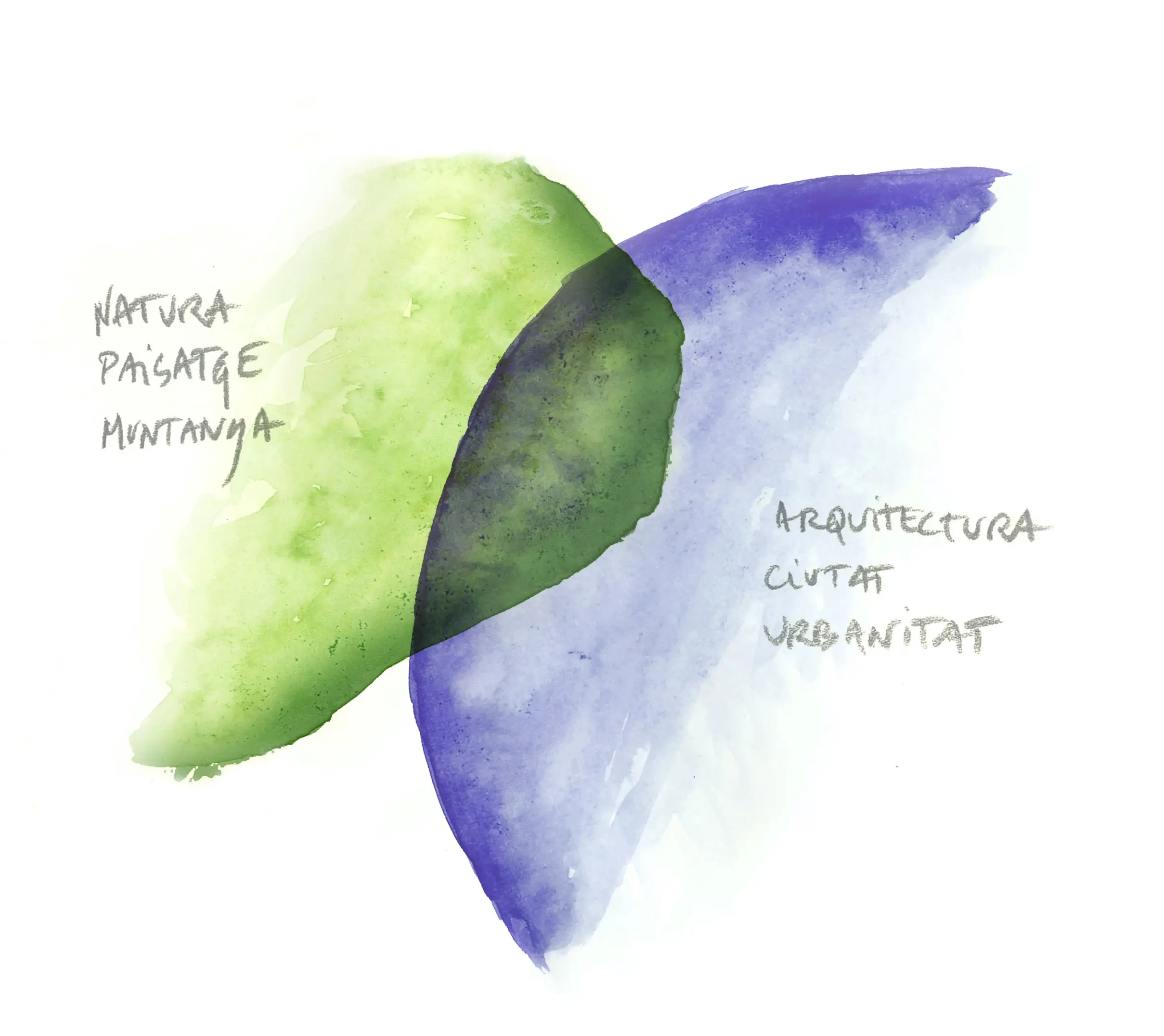 Metodologia arquitectura