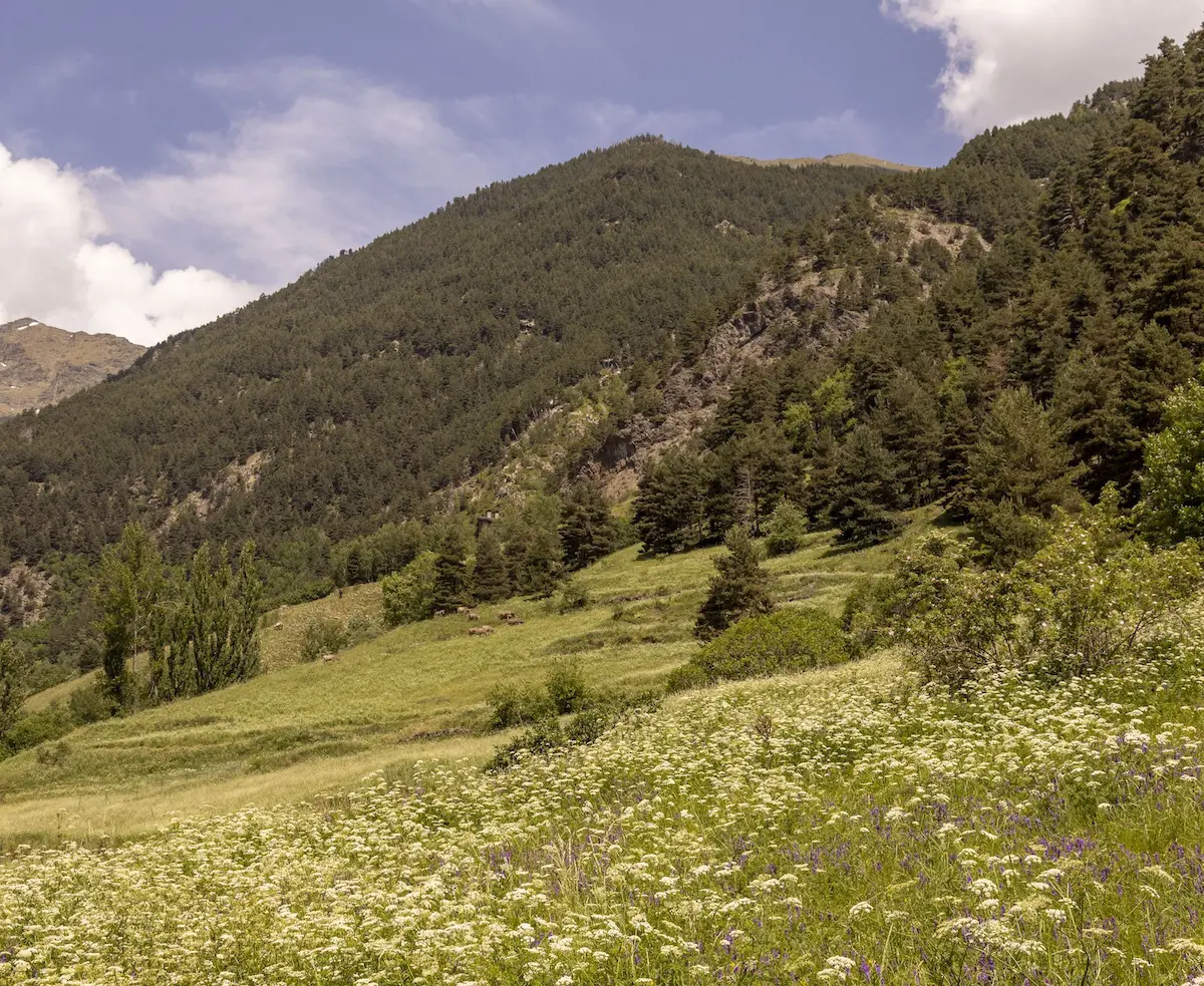 Paisaje Andorra
