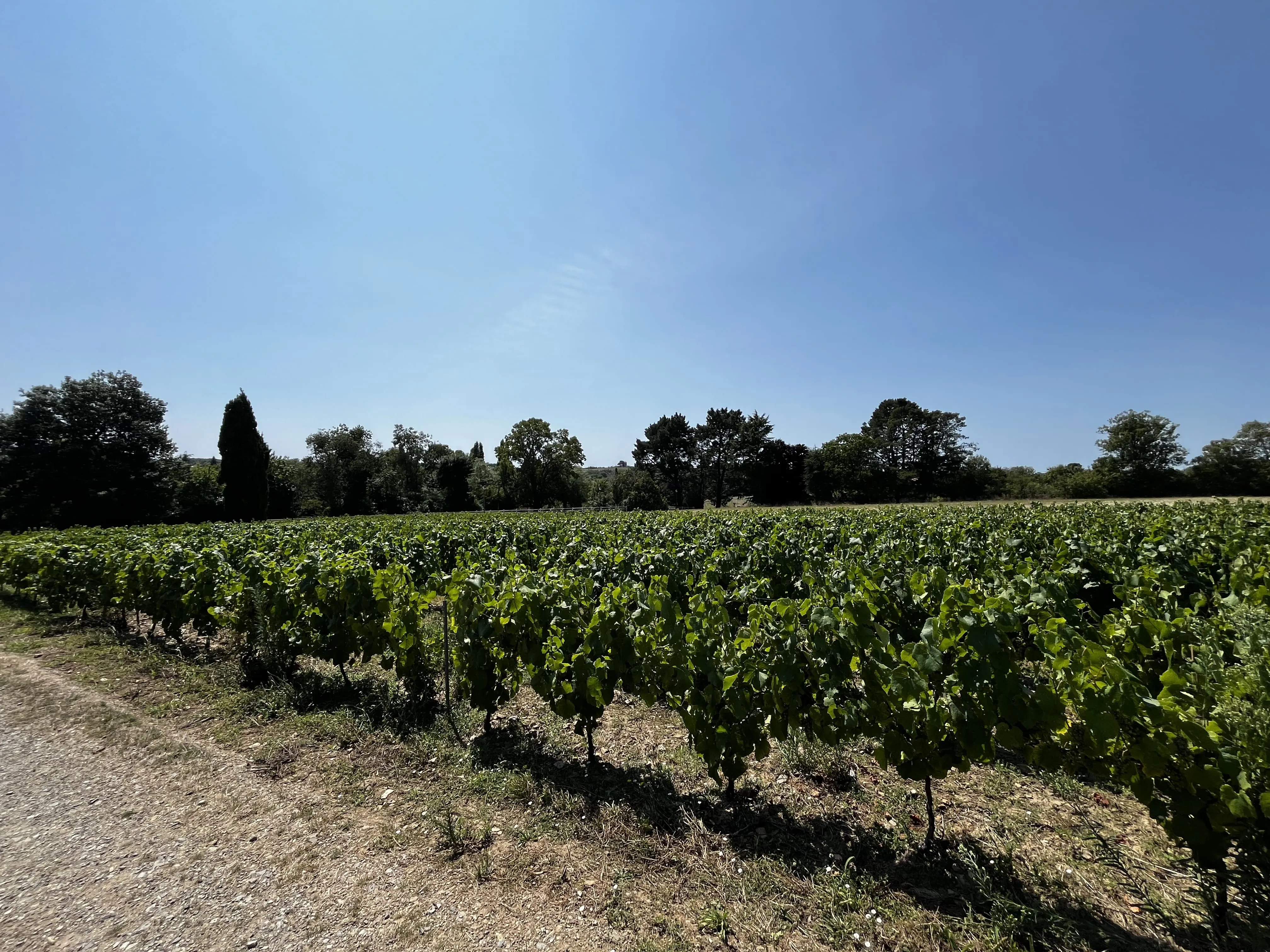 Accommodation Thumbnail