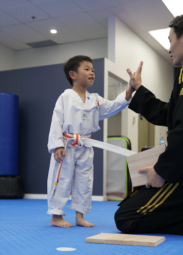 Learn how Tae Kwon-Do helps control anger and grief through physical fitness, mental resilience, and community support for emotional well-being.
