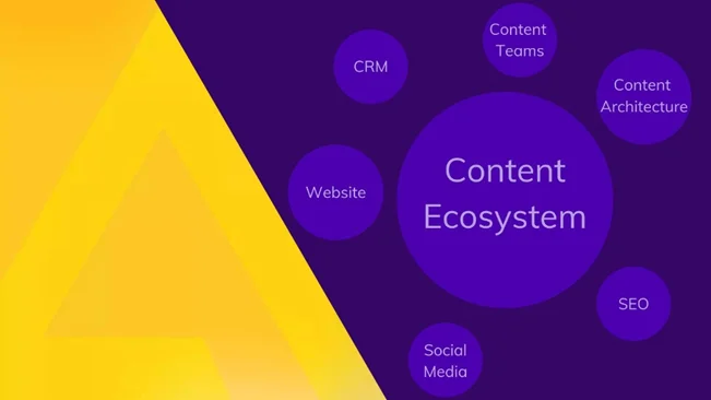 Content Eco System