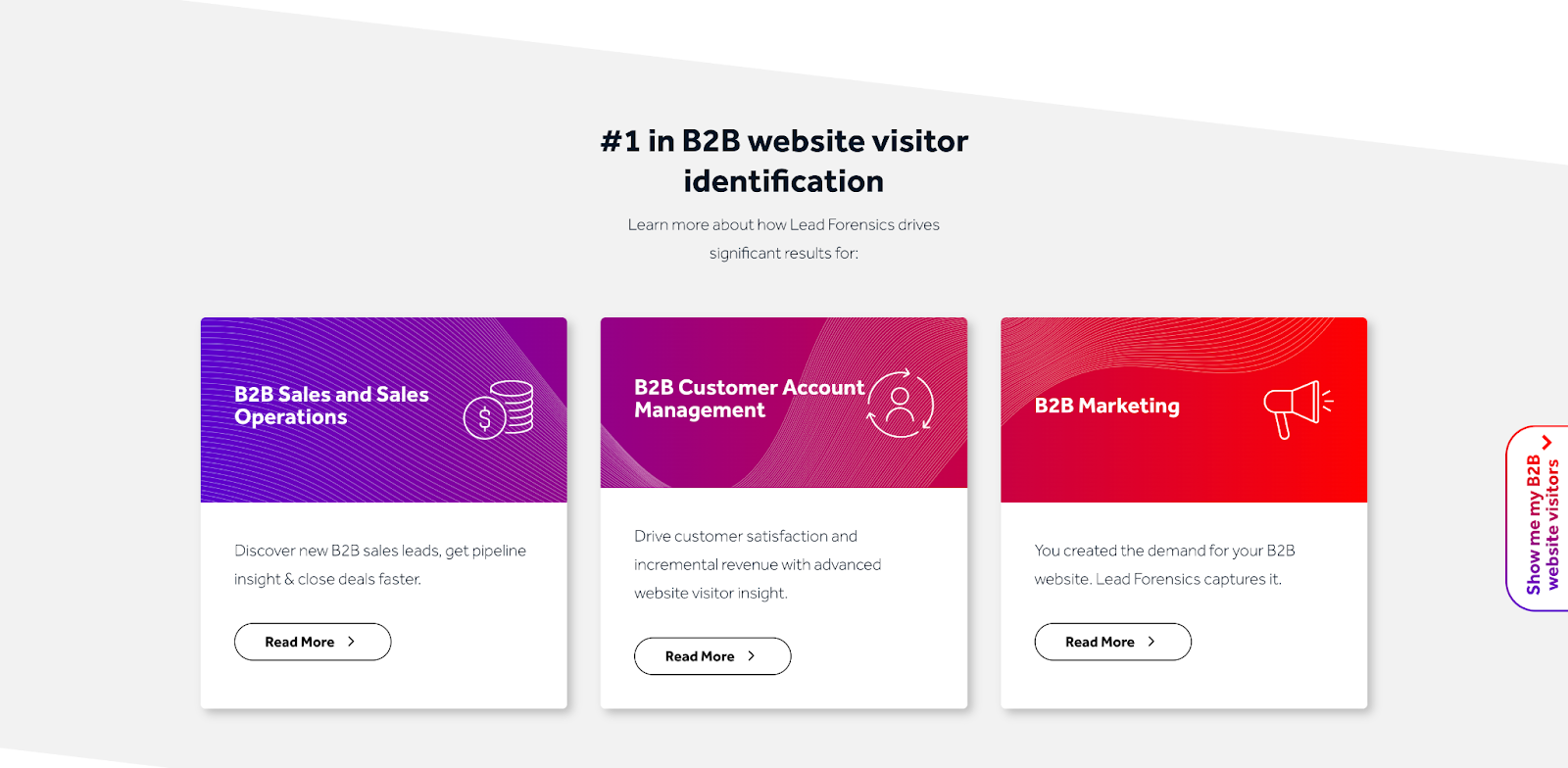 Lead Forensics - B2B visitor Identification 