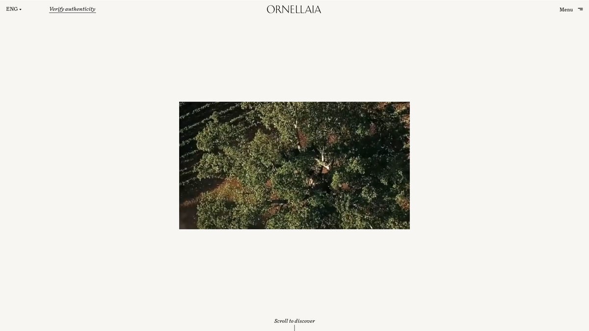 7 Legendäre Toskanische Kultweine, Die 2026 Begeistern - Ornellaia – Bolgheri DOC Superiore