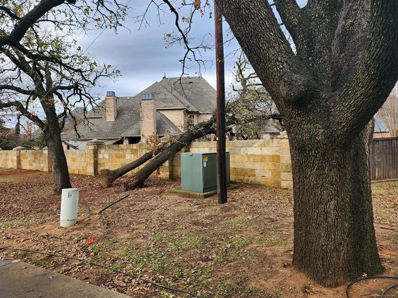 Fallen tree leaning on fence near residential home after storm damage in Southlake TX