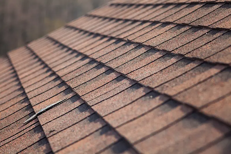Close-up view of brown asphalt shingle roof, showcasing quality materials used by CLC Roofing for repairs and replacements.