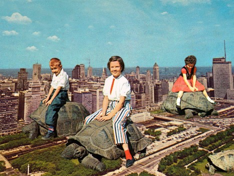 Creative Challenges - Kids Riding Turtles