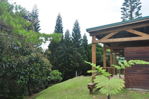 image of a school event