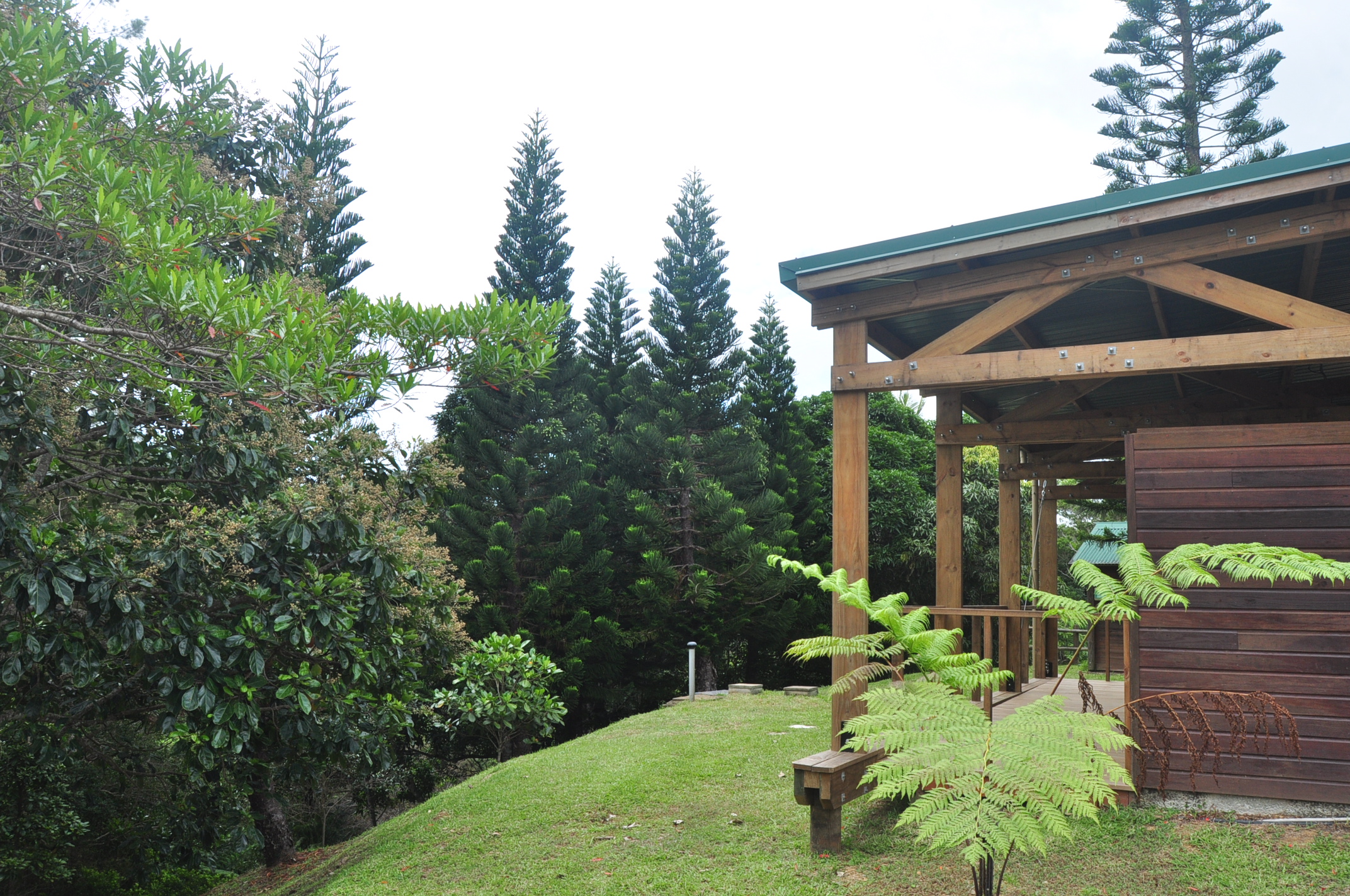 image of a school event