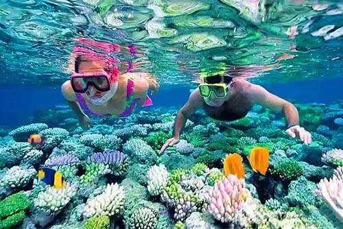 cham island snorkeling tour from da nang